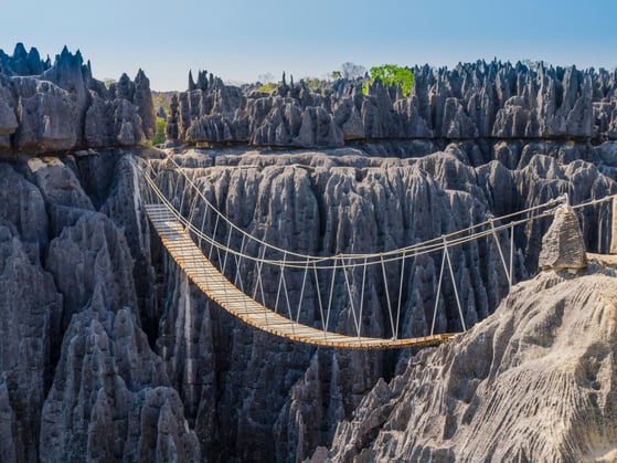 Spanning the Impossible: The Art and Science of Suspension Bridges